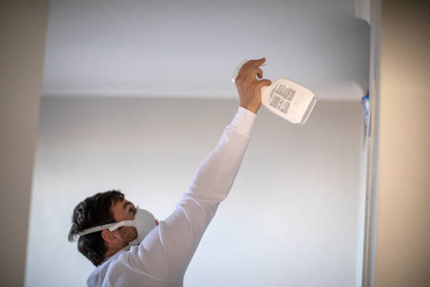 Best Fast Mold Removal  in Fkville, AL