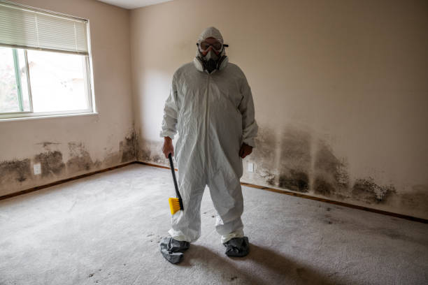 Best Residential Mold Removal  in Fkville, AL