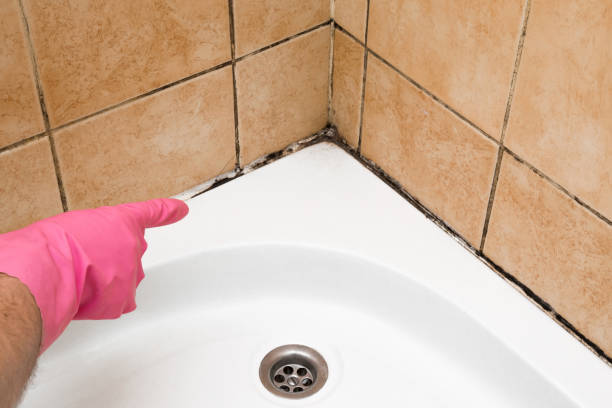 Best Residential Mold Removal  in Fkville, AL